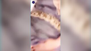 انجي خوري تدلع قدام الكاميرا وتلعب في كسها الأبيض xnxx Angie Khoury