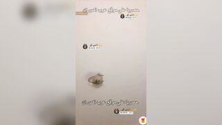 ضرب السبعة لكس الشرموطة البكر و كسها مولع سكس سحاق مولع