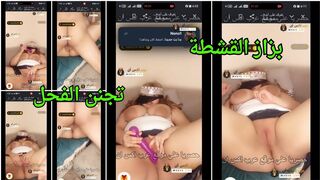 تانجو نسوان مربربة مصري  -  بزاز القشطة تجنن الفحل يمسك زبه ويفشخ كسها