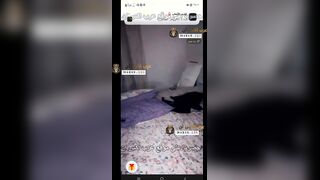 العنتيل يعيش سهرة مليانه نيك مولع جدا مع شراميط شبرا - سكس مسرب مصري